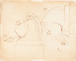 Das Pferd der Selene von den Elgin Marbles [recto] von William Etty