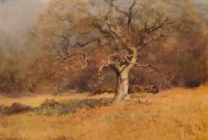 Winterwald, ca. 1916, 1938 von William Eyre Walker