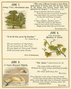 Seite aus dem Bibel-Emblem-Jubiläumsbuch von William Foster