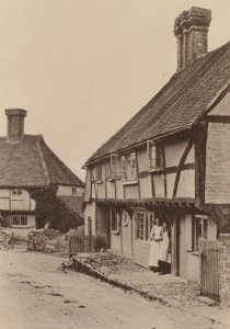 Bei Byworth, in der Nähe von Petworth, Sussex von William Galsworthy Davie