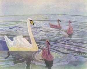 Schwan und Küken