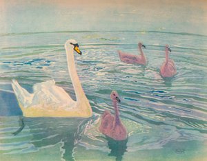 Schwan und Küken