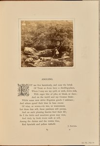 [Ein Junge mit Angelrute und Fischkorb, England]