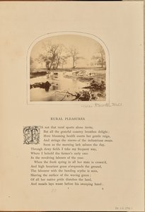 Pastorale Szene mit Vieh auf einem überfluteten Feld, England