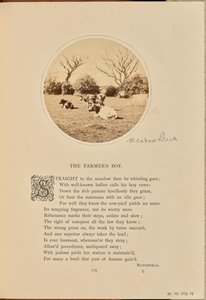 [Pastorale Szene mit ruhenden Rindern auf einem Feld, England] von William Grundy