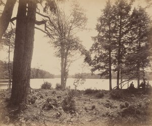 Ganoga-See von William H. Rau