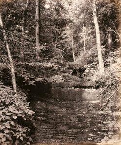 Owasco-See, Cascade Glen, für die Lehigh Valley Railroad von William H. Rau