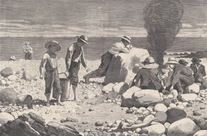 Skizzen am Meer - Ein Clam-Bake Harper