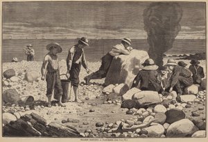 Skizzen am Meer - Ein Muschelbacken
