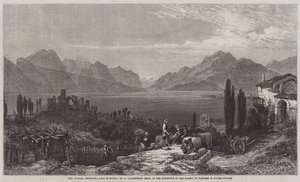 Die Weinlese, Desenzano, Gardasee