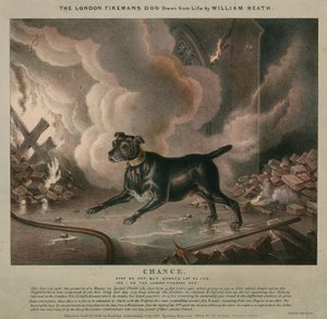 Der Hund des Londoner Feuerwehrmanns von William Heath