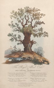 Die königliche verbündete Eiche und selbsterschaffene Pilzkönige, 29. Mai 1815 von William Heath