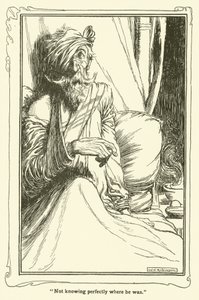 Illustration für Don Quijote von William Heath Robinson