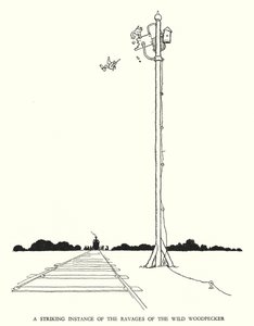 Illustration für Railway Ribaldry von W Heath Robinson von William Heath Robinson