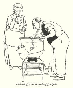 Zuhören bei einem kranken Goldfisch von William Heath Robinson