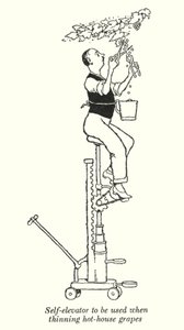 Selbstaufzug zur Verwendung beim Ausdünnen von Treibhaus-Trauben von William Heath Robinson