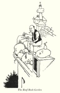 Der Dach-Felsengarten (Lithografie)
