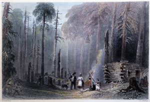 Erste Siedlerinstallation - in "Canadian scenery illustrated" von W.H. Bartlett, London von William Henry Bartlett