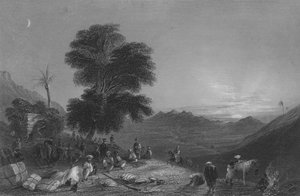 Halt einer Karawane in der Wüste von Girgola, nahe dem Berg Amanus von William Henry Bartlett