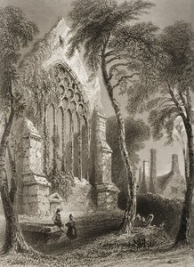 Youghal Abbey, County Cork, Irland, aus 
