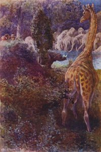 Illustration für The Gorilla Hunters von R M Ballantyne