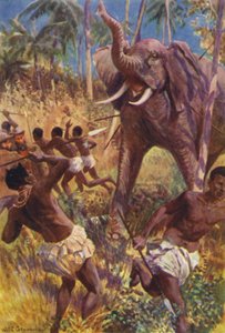 Illustration für The Gorilla Hunters von R M Ballantyne von William Henry Charles Groome