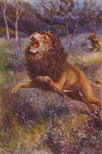 Illustration für The Gorilla Hunters von R. M. Ballantyne (Farblithografie) von William Henry Charles Groome