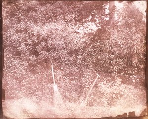 Besen und Spaten, 1842 von William Henry Fox Talbot