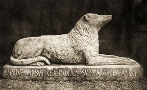 Statue von Maida, berichtet als Lieblingshund von Sir Walter Scott von William Henry Fox Talbot