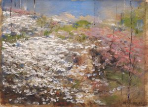 Blumenfeld von William Henry Holmes