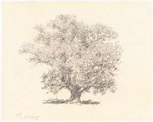 Ein Baum in voller Blüte