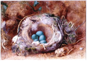 Vogelnest von William Henry Hunt