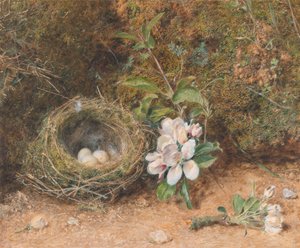 Vogelnest mit Apfelblütenzweigen von William Henry Hunt