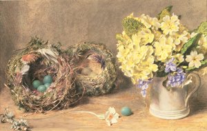 Frühlingsblumen und Vogelnester, ca. 1830 von William Henry Hunt