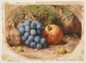 Stillleben mit Trauben und einem Granatapfel von William Henry Hunt