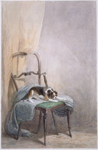 Studie eines Hundes auf einem Stuhl von William Henry Hunt