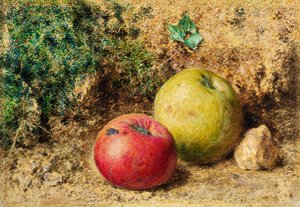 Der Kontrast - Rote und grüne Äpfel, ca. 1860 von William Henry Hunt