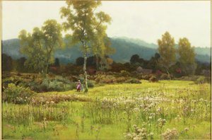 Heimwärts