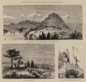 Militärmanöver auf Bermuda von William Henry James Boot