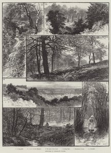 Skizzen im Highgate-Wald von William Henry James Boot