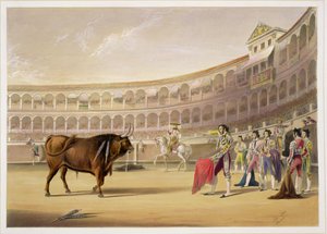 Der Matador, 1865