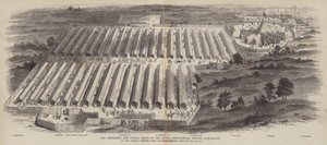 Die Geräte- und Viehschauen der Royal Agricultural Society of England beim Jahrestreffen in Northampton, 20., 21., 22. Juli 1847