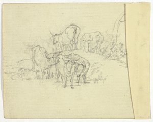 Vieh (recto); Der Scharlatan (verso) von William Henry Pyne
