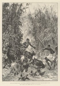 Mr. H. M. Stanleys Emin Pasha Entlastungsexpedition, auf der Suche nach Vorräten für das Yambuya-Lager von William Heysham Overend