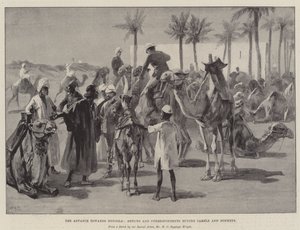 Der Vormarsch nach Dongola, Künstler und Korrespondenten kaufen Kamele und Esel