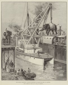 Die Looshai-Expedition, Elefanten an Bord der Simla in Kalkutta verladen