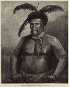 Der Zulukrieg in Südafrika, Cetewayo, der Zulukönig von William Heysham Overend