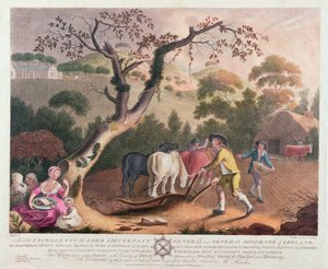 Ansicht des Pflügens, Aussäens von Flachs und Eggen, 1791 von William Hincks