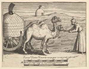 Zwei Dromedare Aubry de La Mottrayes Reisen durch Europa, Asien und in Teile ..., 1723-24