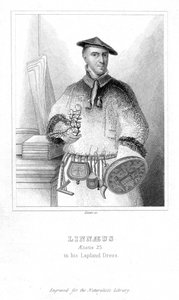 Carl von Linné, schwedischer Naturforscher von William Home Lizars